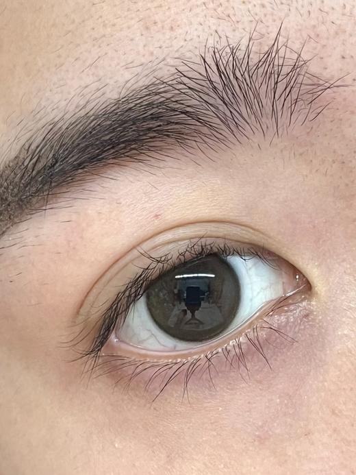 Bariecat日抛·小奶豆·14.2mm小着色·10片日抛 商品图9