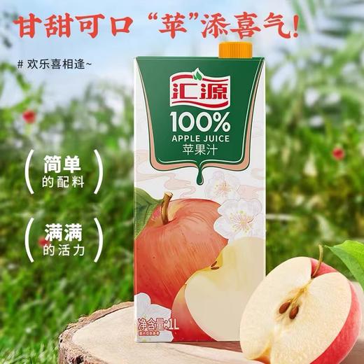 汇源果汁1l装 商品图1