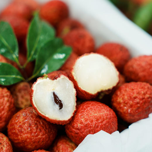 广东增城仙进奉荔枝 优选礼盒装   果大肉厚 蜜香清甜 顺丰发货 商品图0