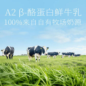 认养一头牛浓浓生巧A2β-酪蛋白鲜牛乳冰淇淋70g*4支装冰激凌冷饮冰棍雪糕 商品图2