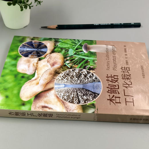 杏鲍菇工厂化栽培【袋式、瓶式栽培模式，彩图】 商品图1