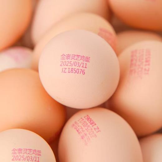 灵芝鸡蛋50枚 商品图1