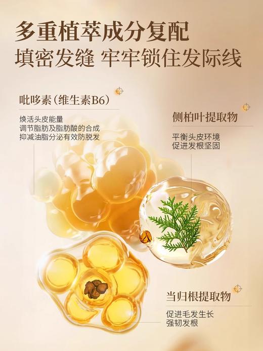 EHD防脱固发精华液套盒 商品图4