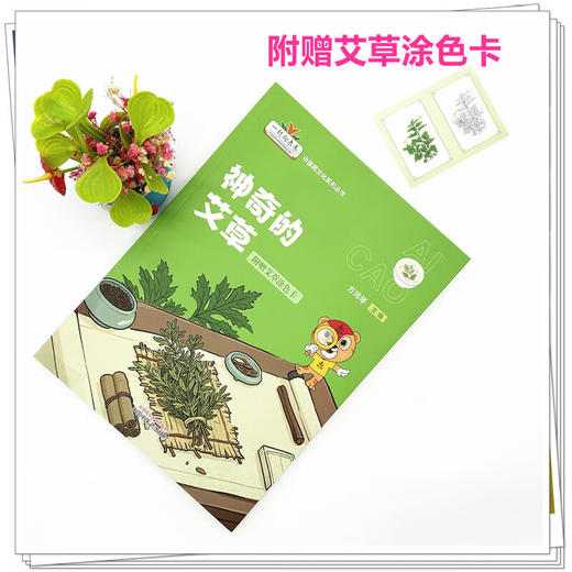 神奇的艾草（附赠艾草涂色卡）方鸿琴 主编 一起走向未来中医药文化系列丛书 艾草种子盆栽种植等 9787513292344中国中医药出版社 商品图2