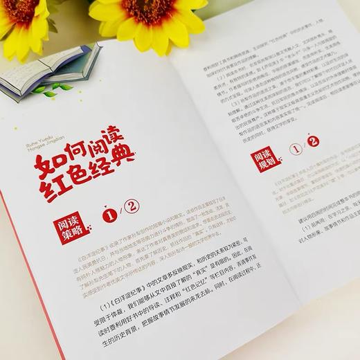 红色经典阅读丛书15册任选【小英雄雨来 小游击队员 闪闪的红星 可爱的中国 红色家书 白洋淀纪事 刘胡兰传】 商品图1