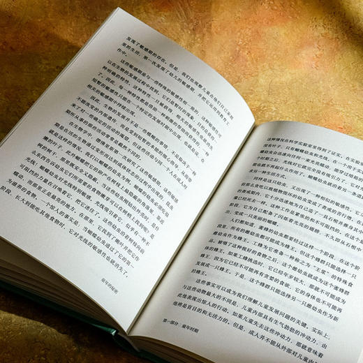 【暑期共读系列】大夏书系 素养时代的教师深度修炼+做幸福的引领者+童年的秘密 教师发展 商品图13