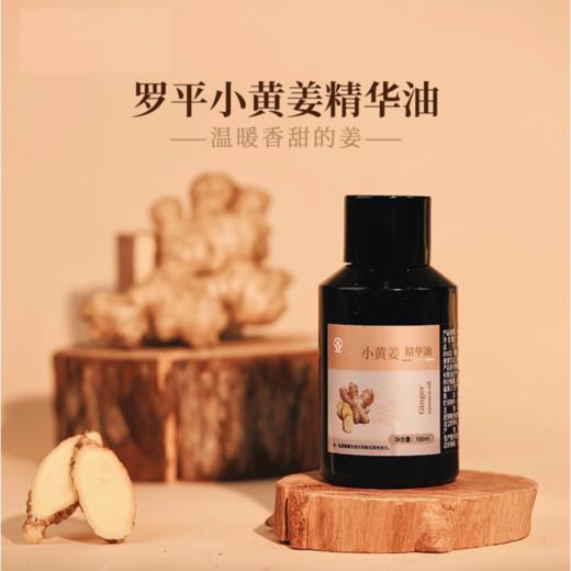 菜头商城 小黄姜精华油 100毫升 商品图0