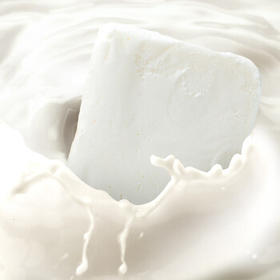 FuDiLong富迪东北大奶砖牛奶雪糕55gx8支 老式冰淇淋传统奶糕 日期新鲜