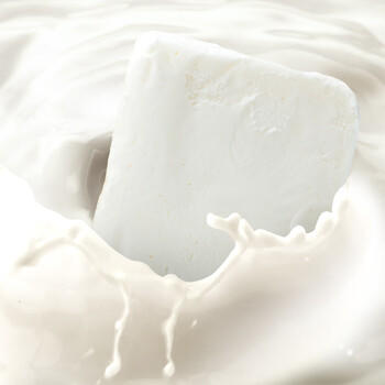 FuDiLong富迪东北大奶砖牛奶雪糕55gx8支 老式冰淇淋传统奶糕 日期新鲜 商品图0