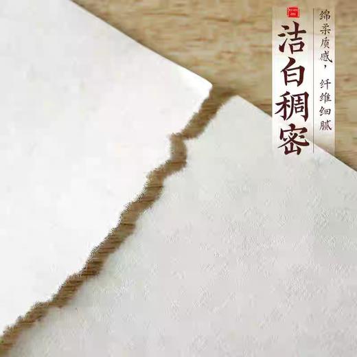 天天练书法练习宣纸/半生半熟/4K 商品图2