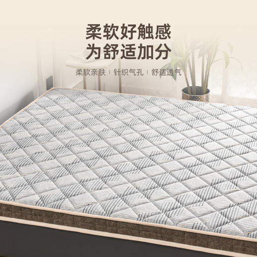 雅芳婷床垫家居床上用品格斯乳胶棕床垫(新款)LK064 商品图4