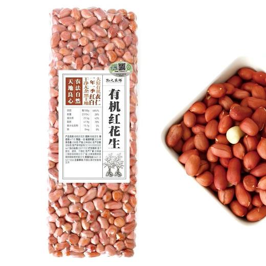 物元农场有机花生米 东北四粒红红皮花生营养丰富口感清香800g/袋 商品图4