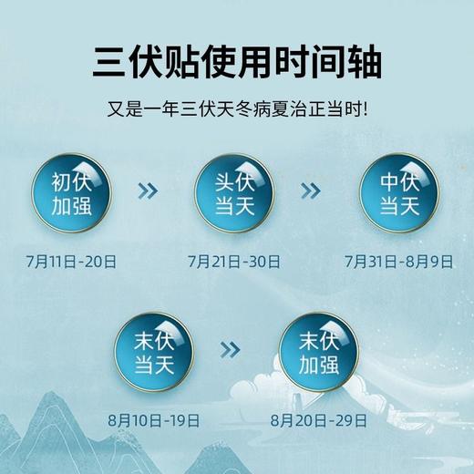 香港中科中药研究院 三伏贴 植物萃取 30贴/盒 商品图2