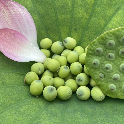 【十堰主城区包邮】“好运莲莲”套餐 郧阳区安阳镇 新鲜荷花5枝+莲蓬5个  商品图2