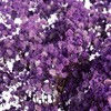 干花 | 满天星浅紫 商品缩略图3