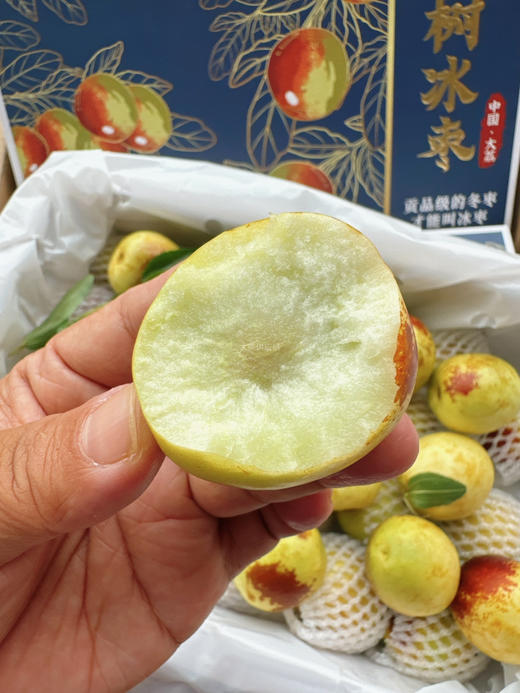 ✈️顺丰包邮到家发京津冀，大糖探秘老树冰枣，陕西名品，脆甜，2斤/箱 商品图0
