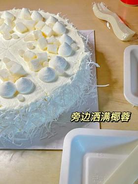 生日拍它像在三亚！椰子蛋糕自带度假滤镜🥥🏝️