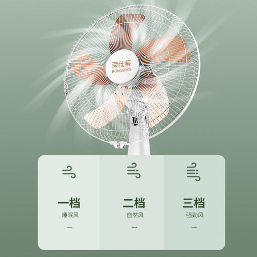 【骆驼电风扇台式家用】16寸台扇 宿舍学生办公室超强风力定时摇头  商品图2