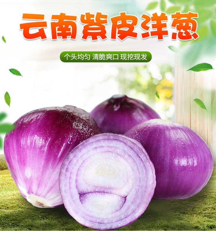 云南紫皮洋葱_01.jpg
