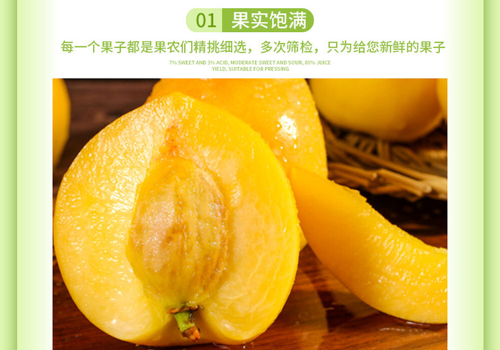 山东黄油桃_05.jpg
