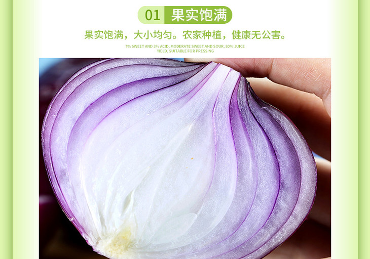 云南紫皮洋葱_05.jpg