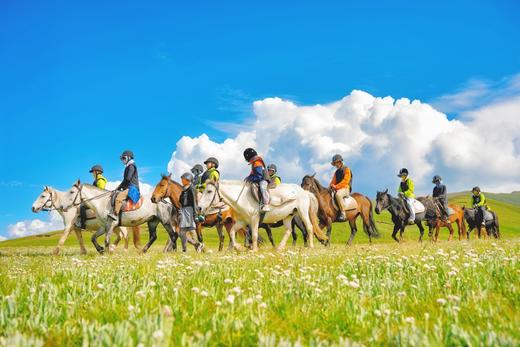 高性价比游新疆！早鸟立减800！大唐西域记亲子营，从吐鲁番到伊犁，8天穿越天山南北！火焰山、坎儿井、赛湖、喀拉峻、昭苏…一趟行程赚回所有票价！ 商品图11