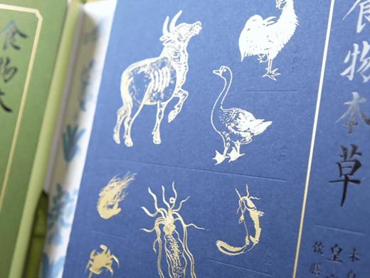 《食物本草-来自明代皇室的饮膳图谱》492种食药，492幅丹青彩绘，5万余字台阁体书法，来自明朝皇室的养生秘籍！药食同源的直观解读！健康之道，或许就藏在老祖宗的一粥一饭之间。 商品图5