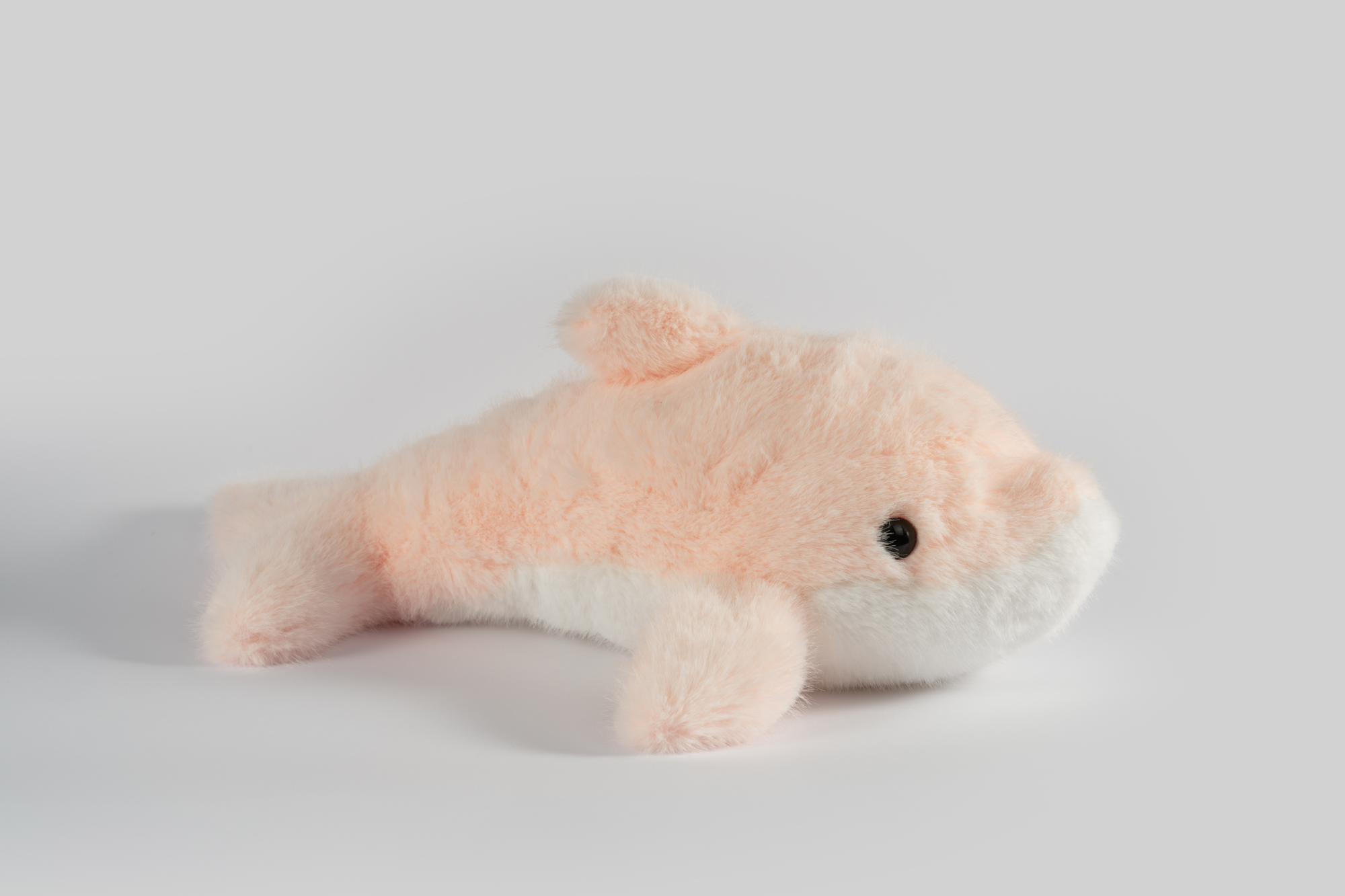 贝林自然世界毛绒海豚玩具博物馆文创伴手礼