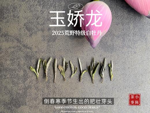 【2025春茶】2025荒野牡丹王，生在了倒春寒的季节，清润，柔甜，如浆似汤，野性难驯（1斤收藏装） 商品图2