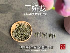 【2025春茶】2025荒野牡丹王，生在了倒春寒的季节，清润，柔甜，如浆似汤，野性难驯（1斤收藏装）