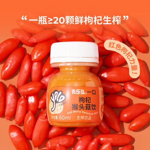 有乐岛/一口枸杞猴头菇饮 温和养养助力修复 商品图4