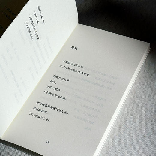 无果的收获 扎伊茲诗选 斯洛文尼亚文学丛书 六点图书 商品图9