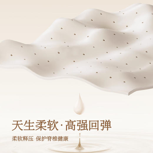 雅芳婷床垫家居床上用品斐乐床垫(新款)LK057 商品图1