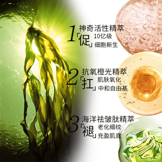 【保税仓美妆-买二赠二 】LAMER/海蓝之谜精萃水150ml*2赠LAMER/海蓝之谜精萃乳15ML*2 赠礼盒礼袋 合并订单不发货 赣州海关直发 商品图3