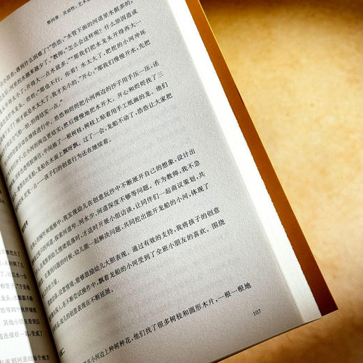 幼儿园户外艺术创想活动设计与实施 22个活动创意 幼儿园案例 商品图12