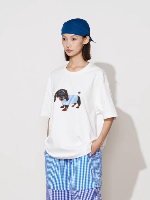 FMACM/TX2558/索罗纳凉感速干短袖T恤 商品图4