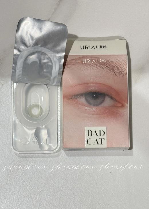 【新品推荐】🇰🇷韩国门店同步 异域混血BADCAT 年抛 商品图4