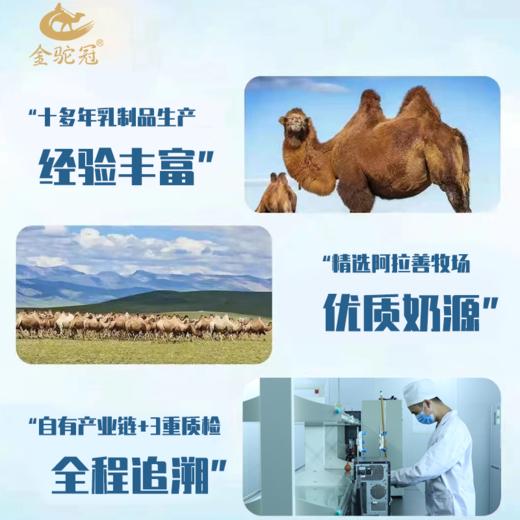 金驼冠 益生菌配方驼乳粉 318g 多规格 商品图6