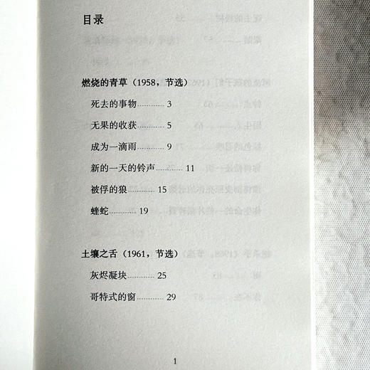 无果的收获 扎伊茲诗选 斯洛文尼亚文学丛书 六点图书 商品图6