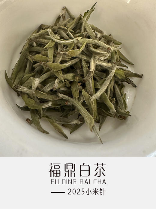 2025小米针 商品图0