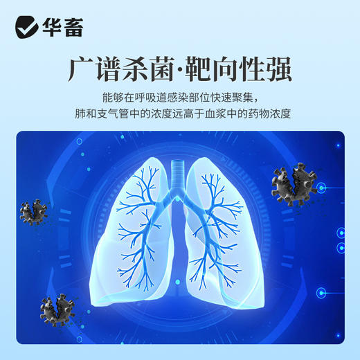 华畜泰地罗新注射液猪牛羊支原体呼吸道病胸膜炎肺炎支气管炎副猪 商品图2