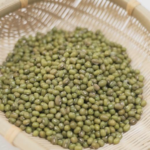 生态绿豆 酵素农耕生态种植 500g/袋【京东快递送货上门】 商品图2