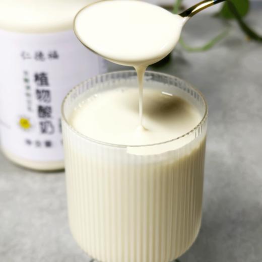 植物酸奶 非转基因大豆发酵原味无蔗糖家庭装1kg/桶【顺丰包邮】 商品图2