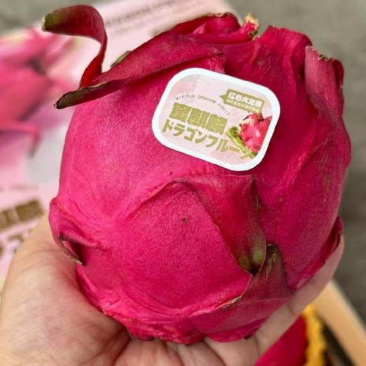 蜜麒麟~红心火龙果【净重约5斤】 商品图2