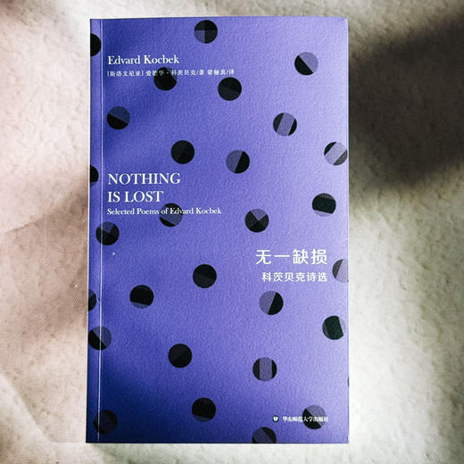 无一缺损 科茨贝克诗选 斯洛文尼亚文学丛书 六点图书 商品图1