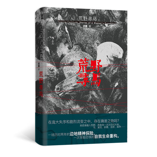 荒野寻马 真正的自由 是允许自己成为一粒雪 商品图5