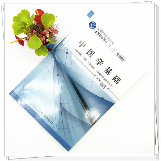 中医学基础 张元澧 鞠智江 主编 全国中医药行业中等职业教育十二五规划教材 中国中医药出版社 商品图1