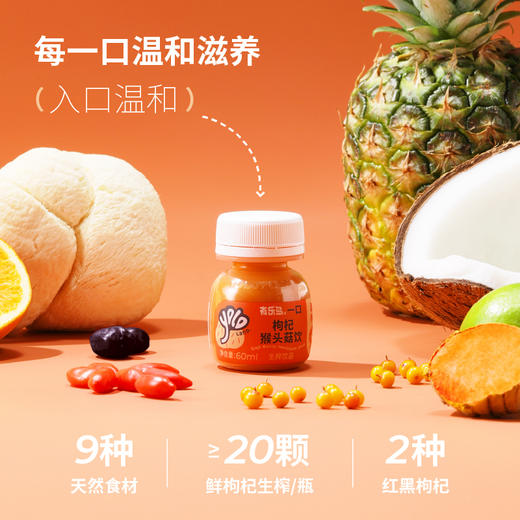 有乐岛/一口枸杞猴头菇饮 温和养养助力修复 商品图2