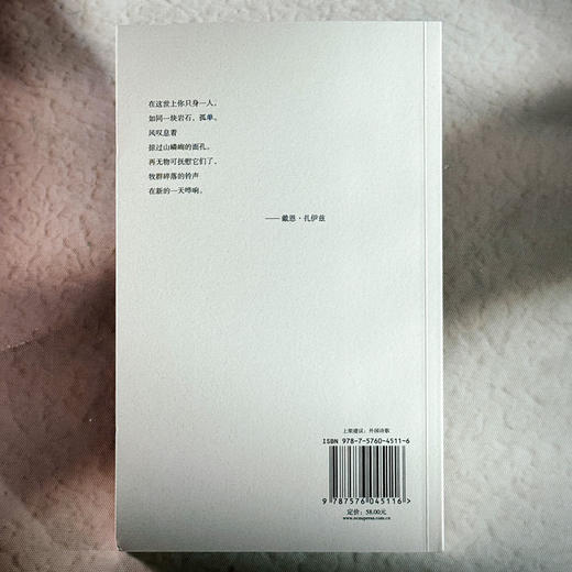 无果的收获 扎伊茲诗选 斯洛文尼亚文学丛书 六点图书 商品图2