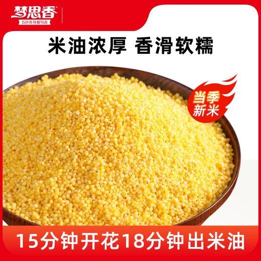 梦思香金苗小米1kg 商品图5